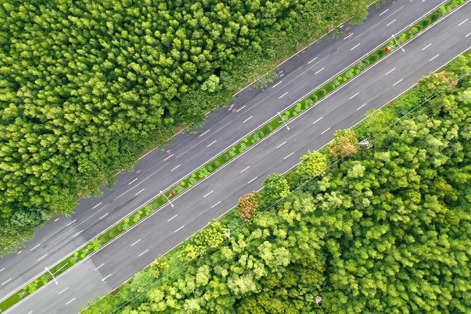 Vinhomes Cần Giờ