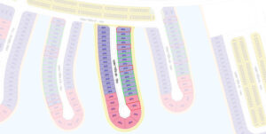 Vịnh Tiên 48 Vinhomes Cần Giờ